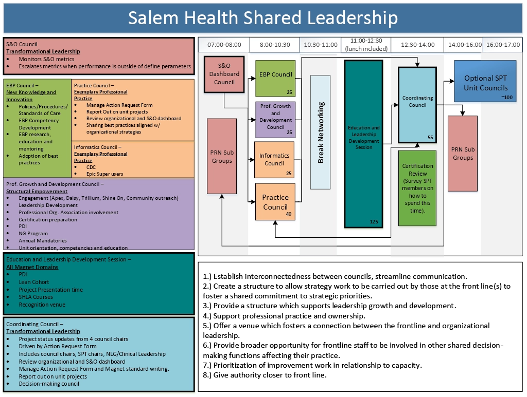 shared governance structure shared governance structure