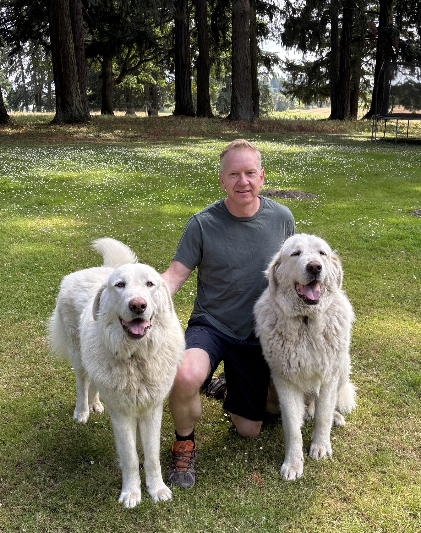 Rocky and Oskar copy Dr. Mikeska with his white dogs, Rocky and Oskar, outdoors in green grass.