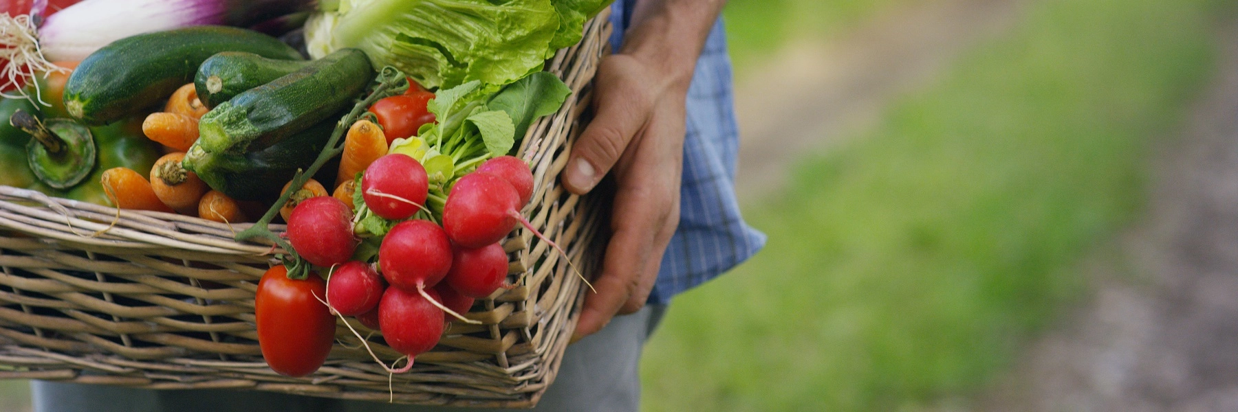 Portraitofahappyyoungmalefarmerholdingfreshvegetablesinabasket