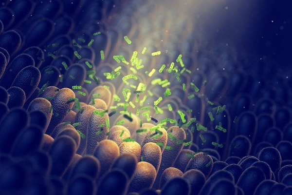 A photo illustration of the inside of the colon, looking like a forest.