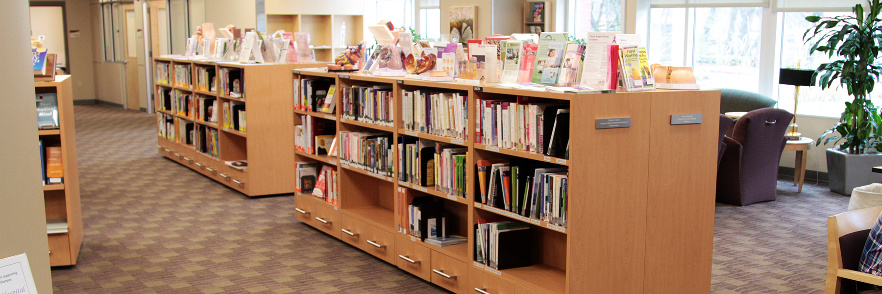 CHEClibrary3_cropped