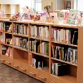 CHEClibrary3_cropped