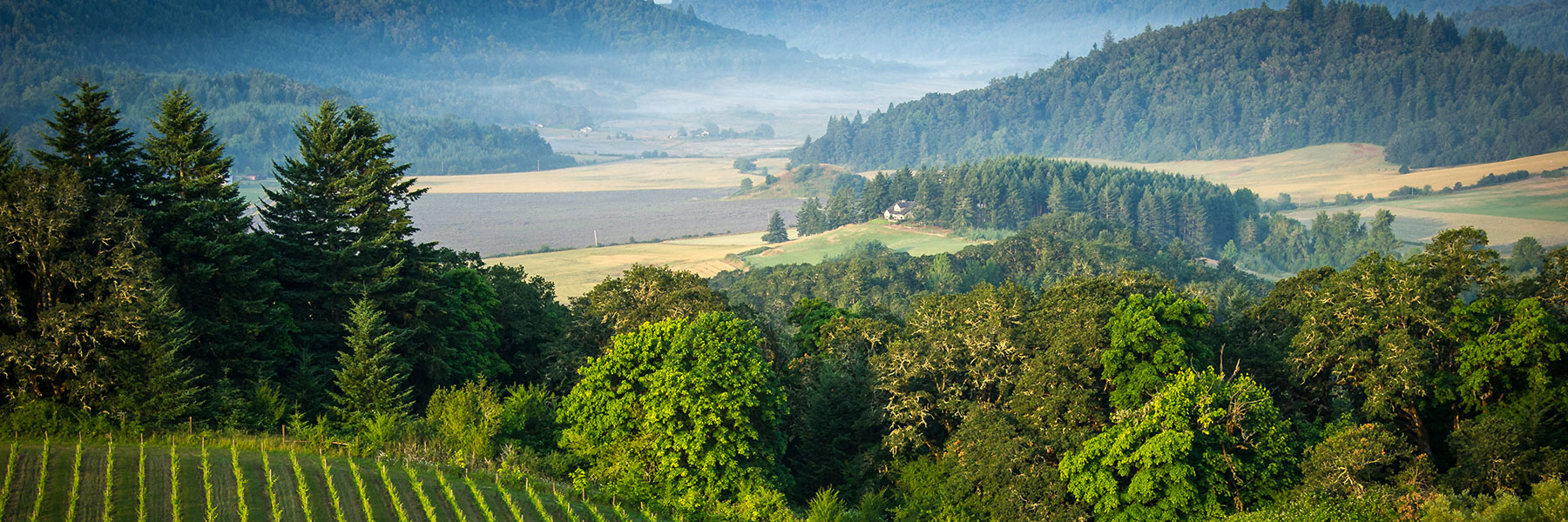 Convenientcareacrossthevalley