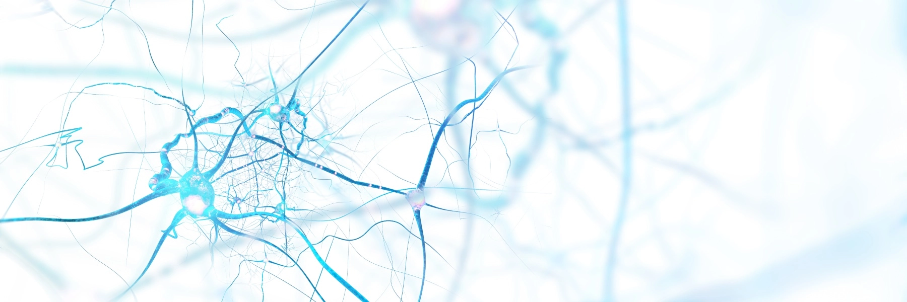 salem-health-neurology-banner-2022