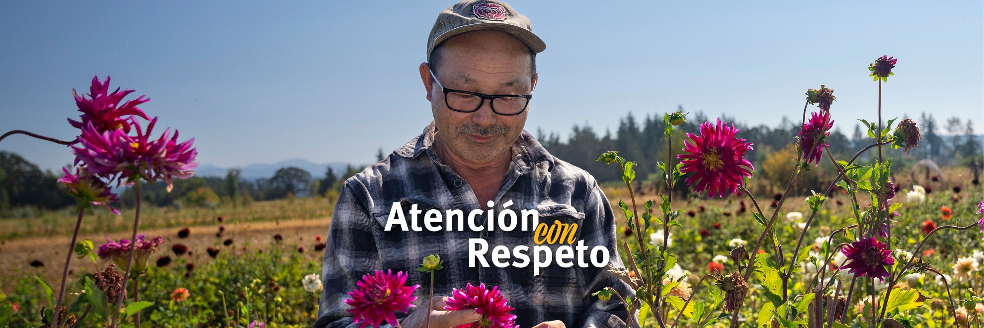 CarewithRespect2022Christopherinflowerfield-Spanish