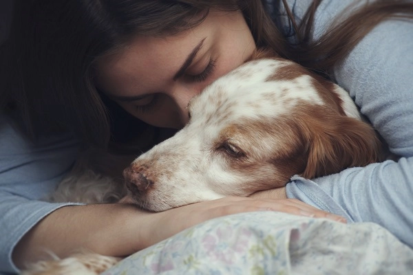 dog depression pet feelings