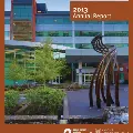 SalemHealthCancerInstitute2013annualreportcover