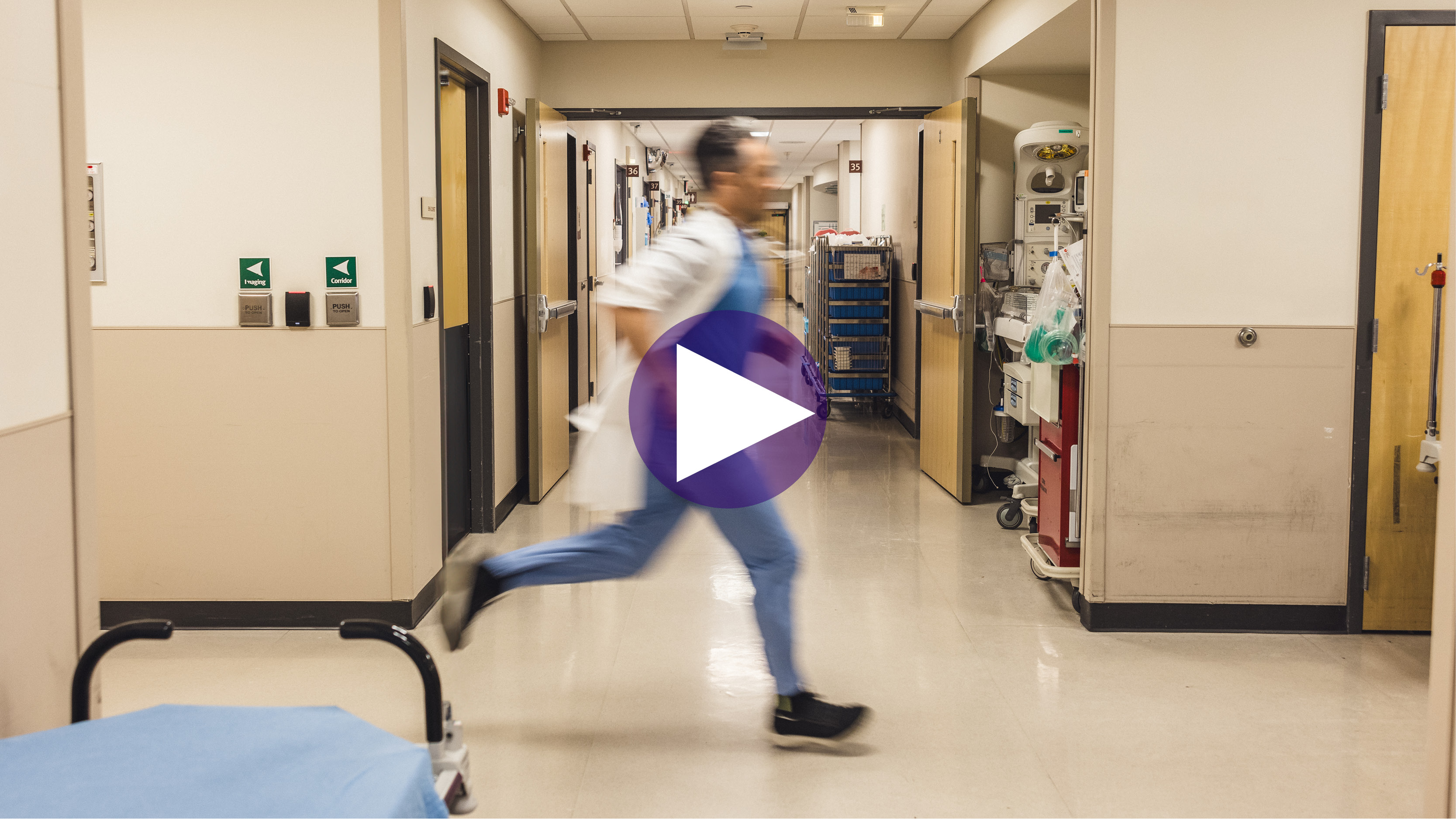 brandv3_ED_cropped_video