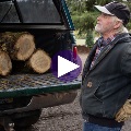 brandv3_firewood_cropped_video