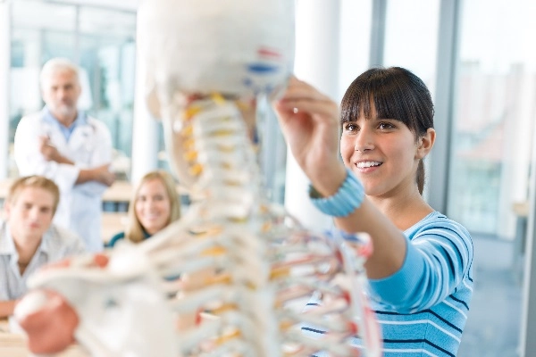 Studentslookingatamedicalskeleton