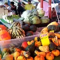 ContainersofvegetablesattheFarmersMarket