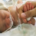 NICUbabywithparent