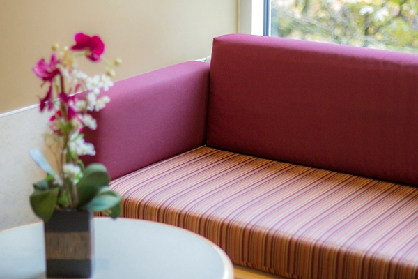 LaborDelivery-Couch-01-110215