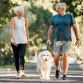 Retirementfitnessandwalkingwithdogandcoupleinneighborhoodparkforoutdoormorningwalktogether