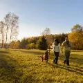 couplewalkingwithdoginfield