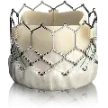 Transcatheteraorticvalve