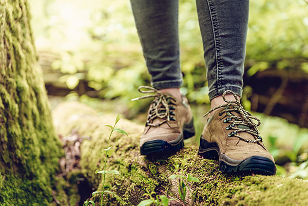 hiker standing on a log