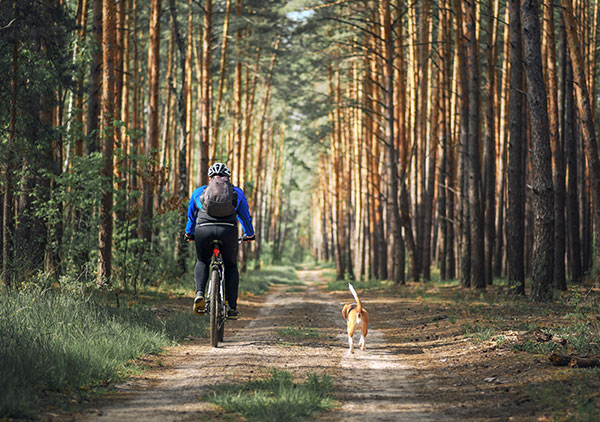 Man riding bike with dog