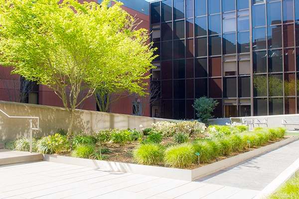 RehabGarden-01-033116-INCOPY-24004