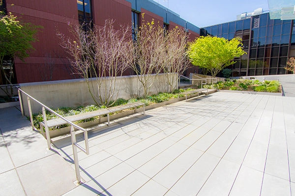 RehabGarden-02-033116-INCOPY-24004