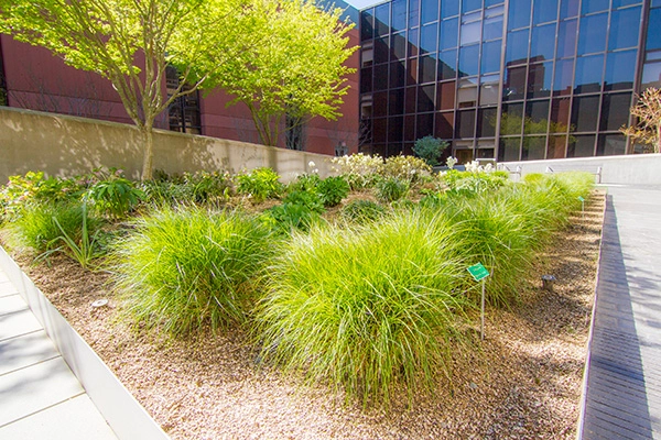 RehabGarden-03-033116-INCOPY-24004