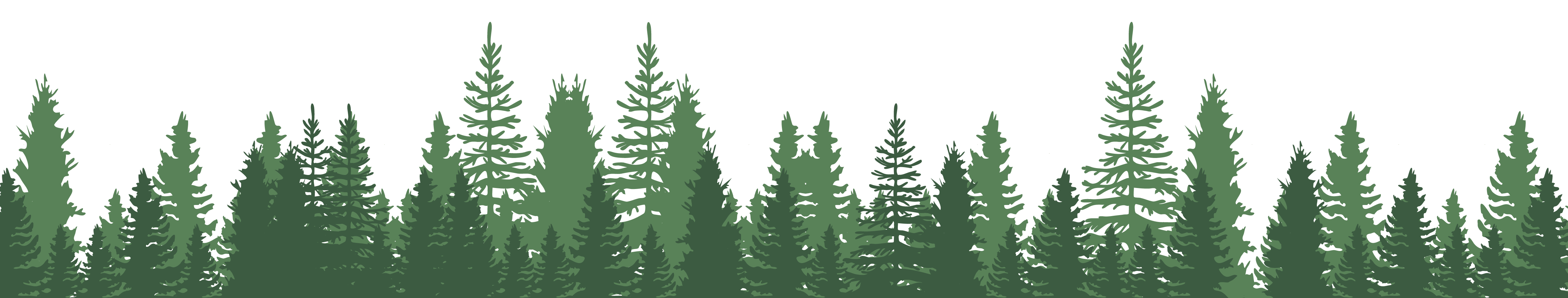 SilhouetteofPNWtrees