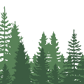 SilhouetteofPNWtrees
