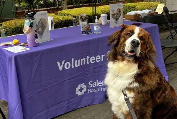 Therapy dog at a Salem Health event