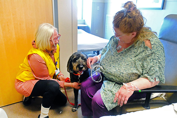 Therapy dog making a hospital visit.