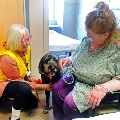 Therapydogmakingahospitalvisit