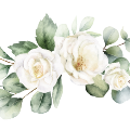 Arrangementofwhiterosesandeucalyptus