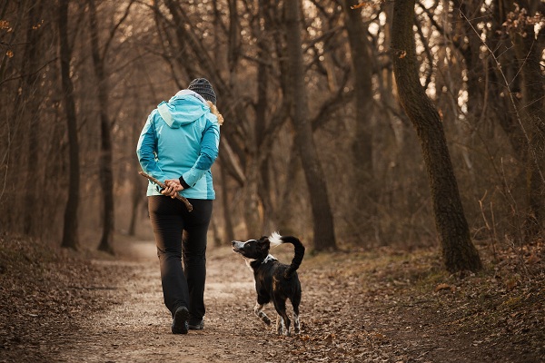 Cachorro de border collie adorable paseando con una dueña en un bosque en invierno