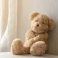Teddybearinthesunlightofanursery