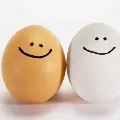 cuteeggs