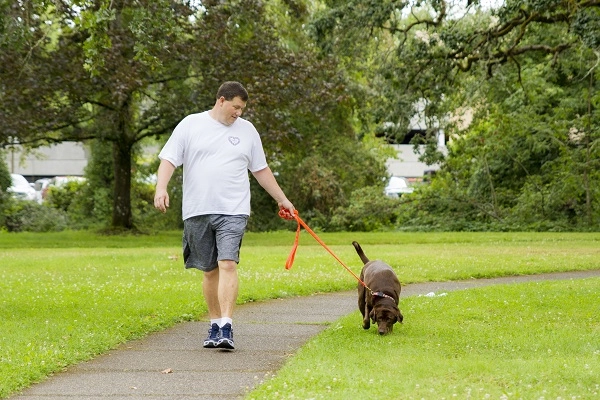 dan dog hustle dan dog hustle