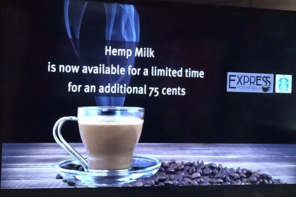 hemp sign coffee shop hemp milk coffee