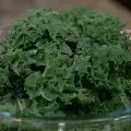 freshkale