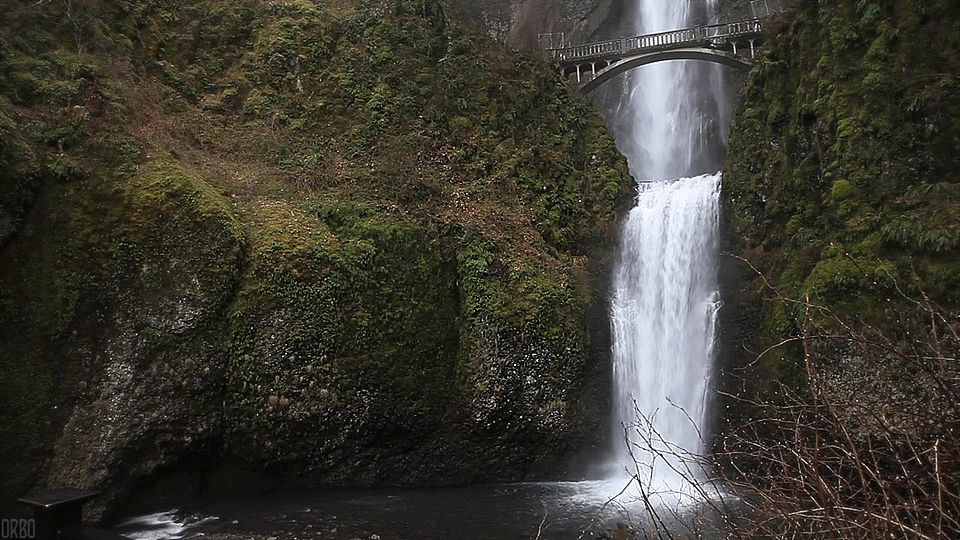 multnomah gif multnomah gif