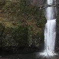 multnomahfallsgif