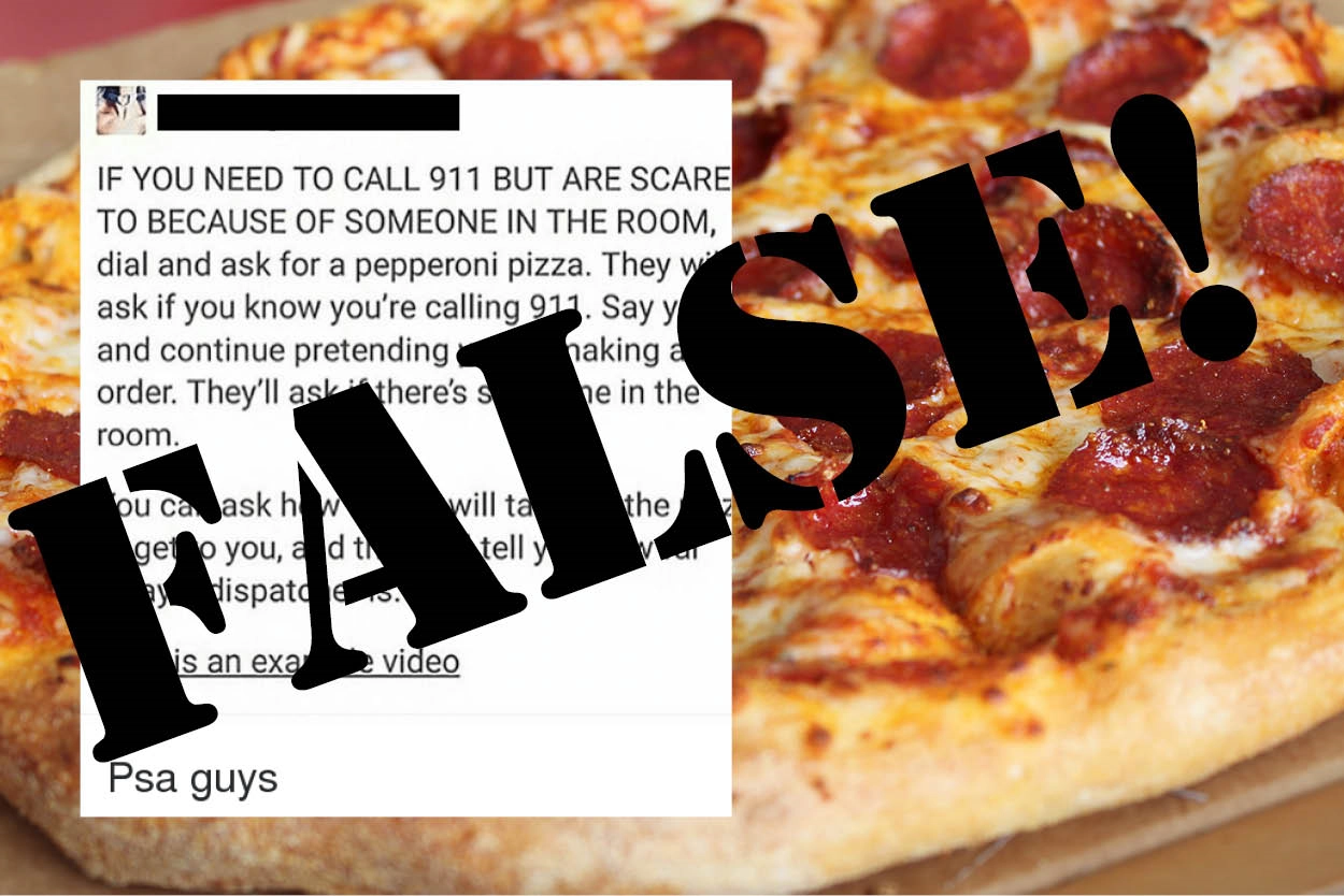 pizza meme false pizza meme false