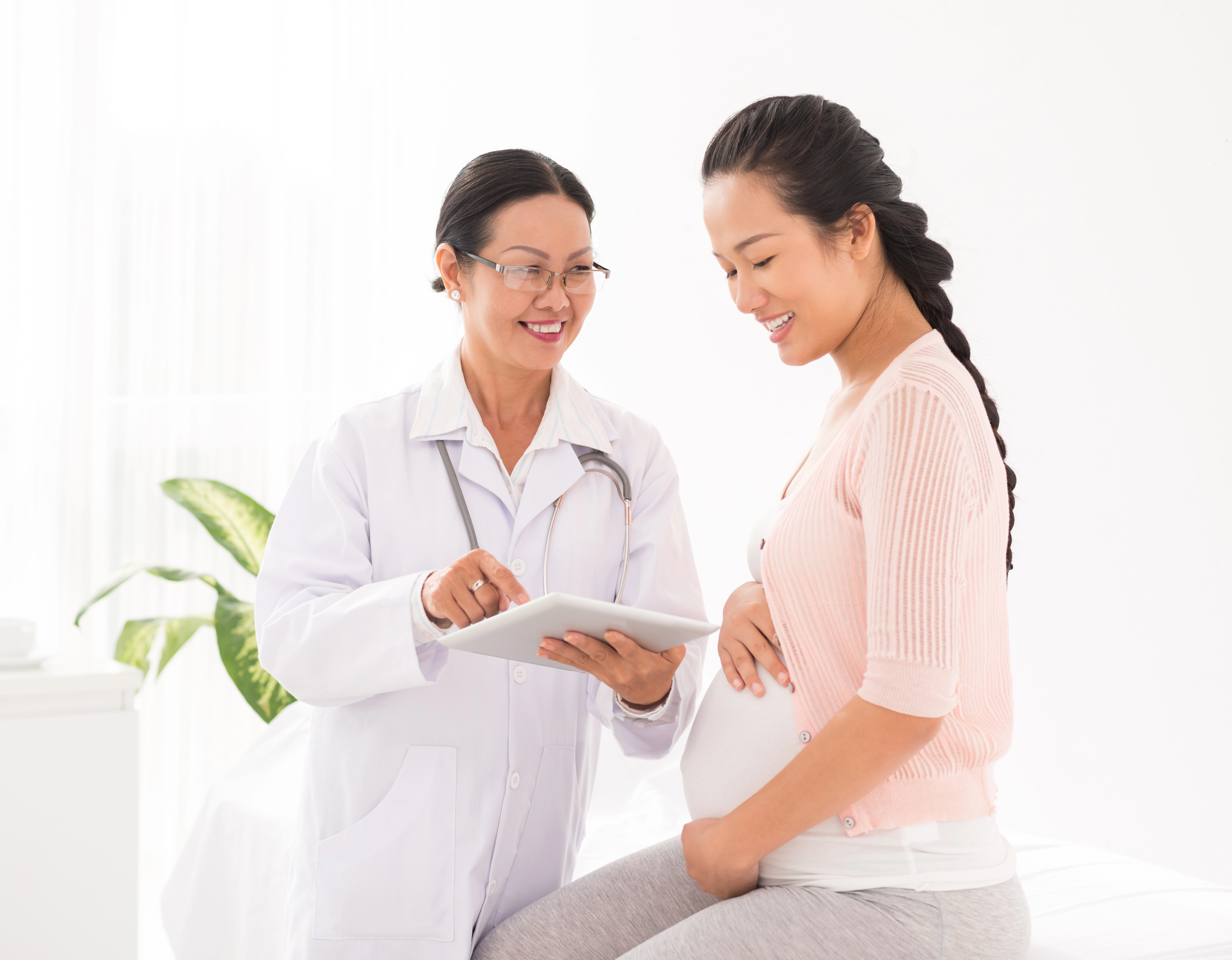 pregnant pregnancy