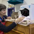NancySplayswithtwocatsthatliveinthedonatedboxes