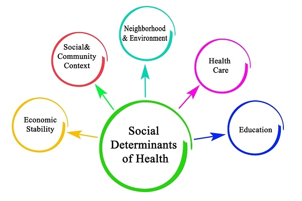 A chart illustration showing the social determinants of health: Economic stability, social and community context, neighborhood and environment, health care, and education.