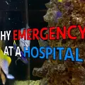 Fishyemergencyatahospital