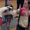 Familiesmeetagreatdanetherapydogattheevent