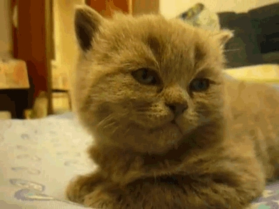 sleep gif sleep gif